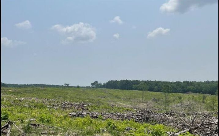 Pictures of Land property located at Pine Grove Road, 69084, MS 38922 for sales - image #1