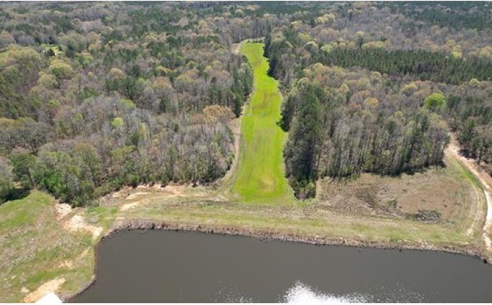 Pictures of Land property located at Holly Bush Road, 68863, MS 39047 for sales - image #1