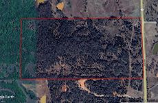 27525479
