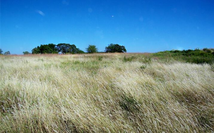 Pictures of Land property located at E 840 Rd, Stroud, OK 74079 for sales - image #1