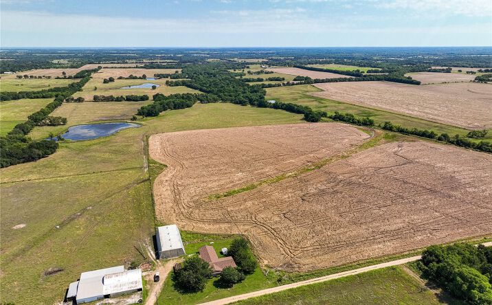 Pictures of Land property located at 000 County Road 4055, Whitewright, TX 75491 for sales - image #1