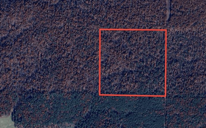 Pictures of Land property located at 000 Highway 21, Doniphan, MO 63935 for sales - image #1