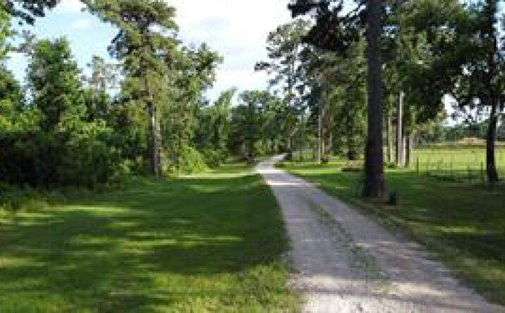 Pictures of Land, Mixed Use property located at 856 hwy 150, new waverly, TX 77358 for sales - image #1