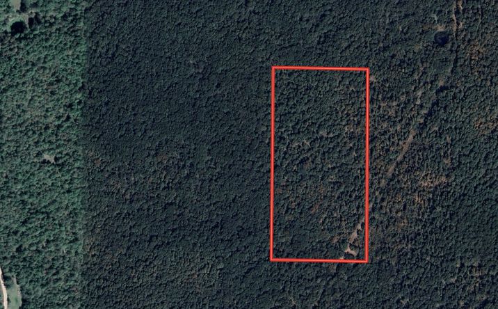 Pictures of Land property located at 000 FF-1, Doniphan, MO 63935 for sales - image #1