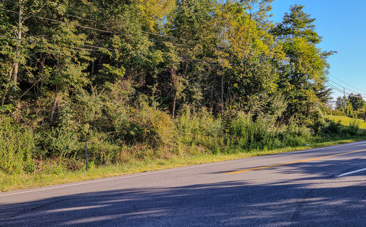 Pictures of Land property located at Lot 1 Main Street, Buchanan, VA 24066 for sales - image #1