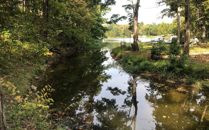 Pictures of Land property located at Flat Bottom Rd, Bonne Terre, MO 63628 for sales - image #1