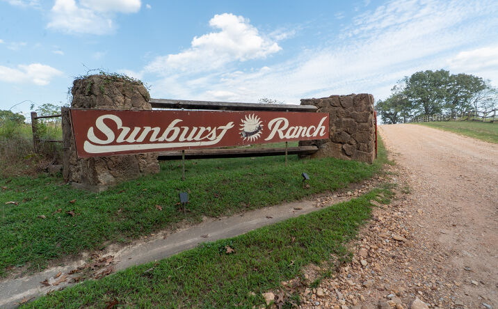 Pictures of Land, Business for Sale property located at 776 County Road 352, Caulfield, MO 65626 for sales - image #1