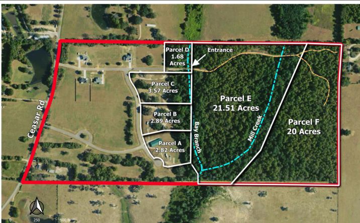 Pictures of Land, Special Purpose property located at 1572 E N Caesar oaks Dr, Carriere, MS 39426 for sales - image #1