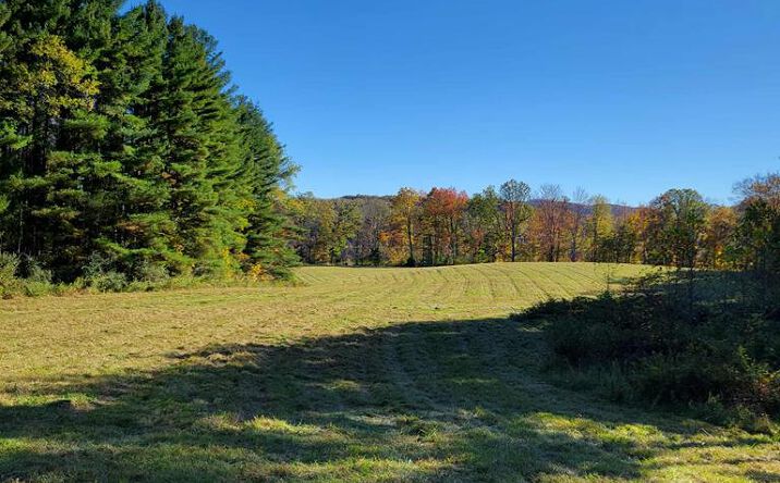 Pictures of Land, Special Purpose property located at Hurricane Ridge Road, Charmco, WV 25958 for sales - image #1