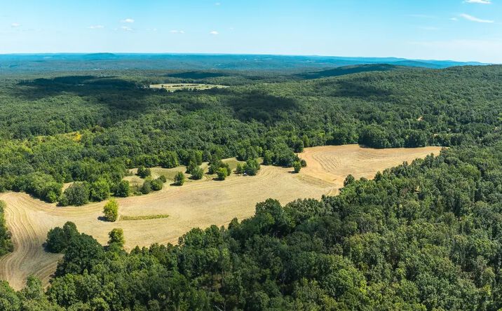 Pictures of Land property located at 221 Highway, Ironton, MO 63650 for sales - image #1