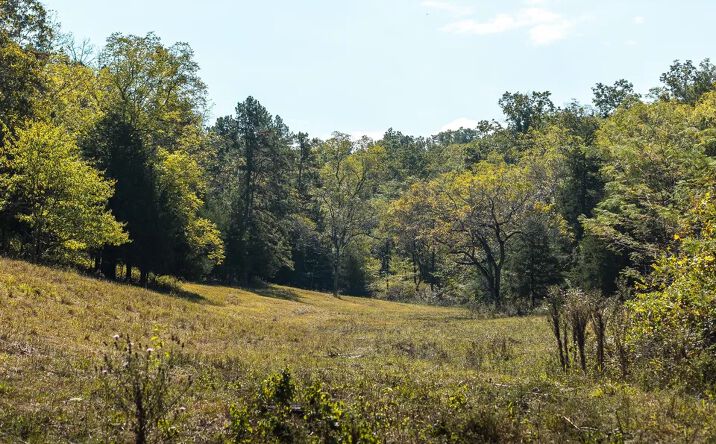 Pictures of Land property located at 10110 Ashley Creek Rd, Salem, MO 65560 for sales - image #1
