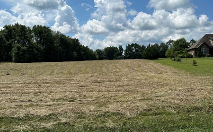 Pictures of Land property located at 0 Maynard Ln (Lot 1 & 2), Columbia, TN 38401 for sales - image #1