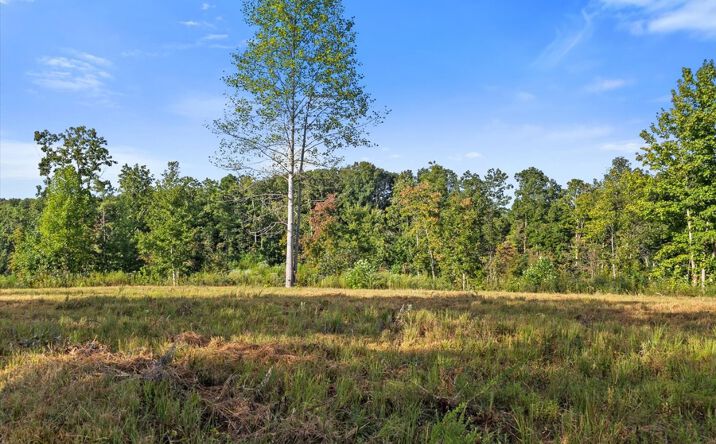 Pictures of Land property located at 0 Kro Hollow Rd Lot 2, Hohenwald, TN 38462 for sales - image #1
