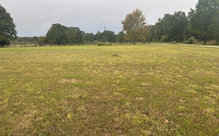 Pictures of Land property located at 21021 State Route M, Newburg, MO 65550 for sales - image #1