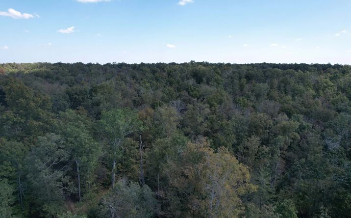 Pictures of Land property located at 214 Wayne 503 B, Lowndes, MO 63951 for sales - image #1