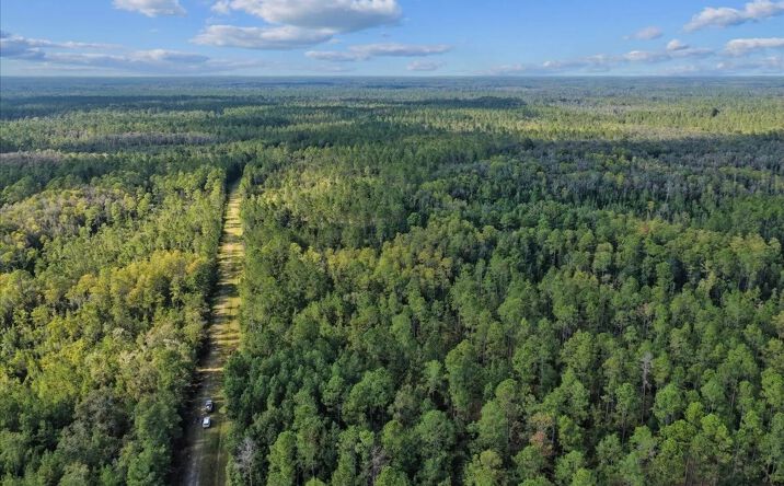 Pictures of Land property located at Vacant SW Naples Terrace, Greenville, FL 32331 for sales - image #1