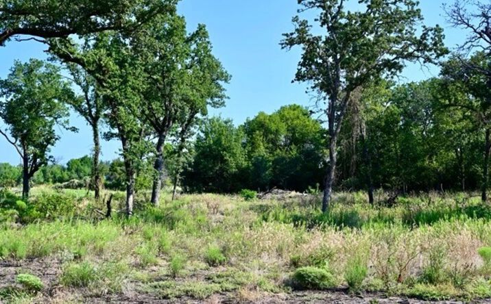 Pictures of Land property located at Lot 63 Camden Lane, Springtown, TX 76082 for sales - image #1