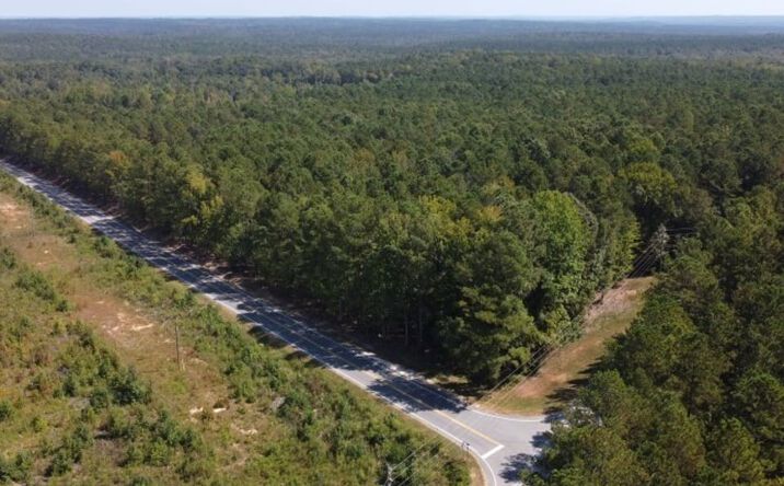 Pictures of Land property located at Bellfield Road, Ridgeway, SC 29130 for sales - image #1