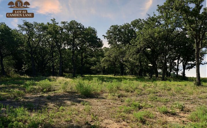 Pictures of Land property located at Lot 67 Camden Lane, Springtown, TX 76082 for sales - image #1