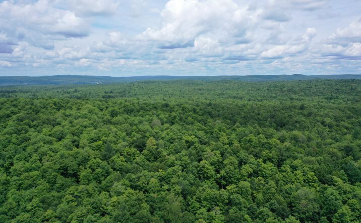 Pictures of Land property located at Jones Road, Colton, NY 13625 for sales - image #1