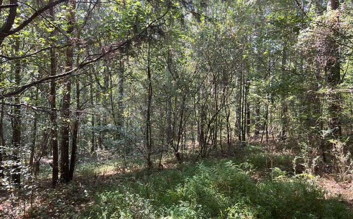 Pictures of Land property located at 124 S Kelley St, Tallapoosa, GA 30176 for sales - image #1