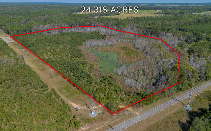 Pictures of Land property located at Kinnett Rd, Jacksonville, GA 31544 for sales - image #1