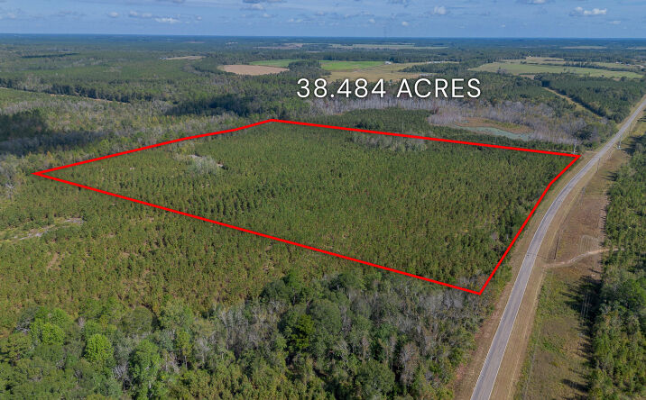 Pictures of Land property located at Tract 2 - Kinnett Rd, Jacksonville, GA 31544 for sales - image #1