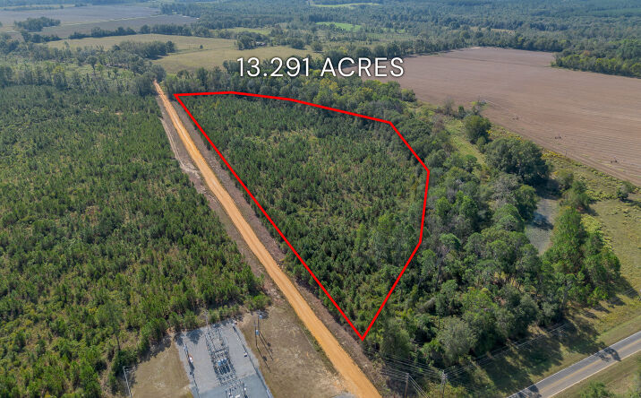 Pictures of Land property located at Tract 6 - United Church Rd, Jacksonville, GA 31544 for sales - image #1