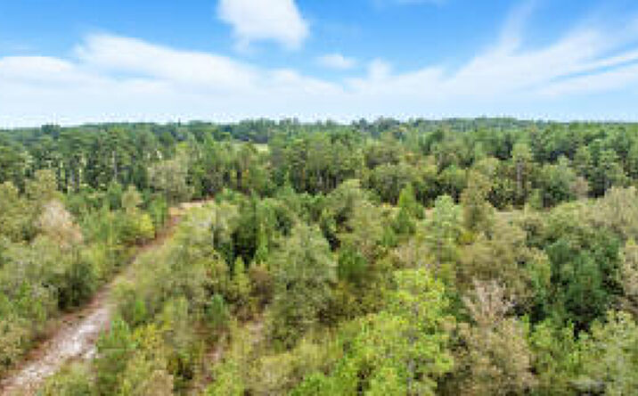 Pictures of Land property located at Lot 2-8 Barrington Farms Drive, Aiken, SC 29803 for sales - image #1