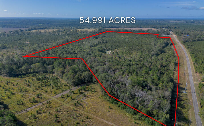 Pictures of Land property located at Tract 7 - Kinnett Rd, Jacksonville, GA 31544 for sales - image #1
