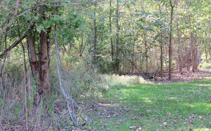 Pictures of Land property located at 50279 North Ave, Macomb, MI 48042 for sales - image #1