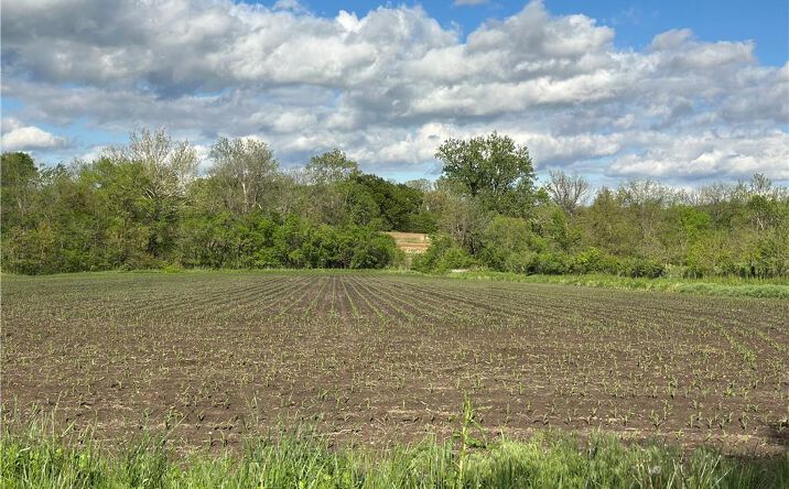 Pictures of Land property located at Tract 1 Albany Road, Orrick, MO 64077 for sales - image #1