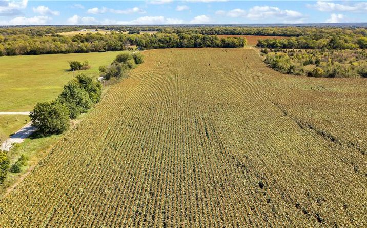 Pictures of Land property located at 38939 W 387th Road, Lane, KS 66042 for sales - image #1