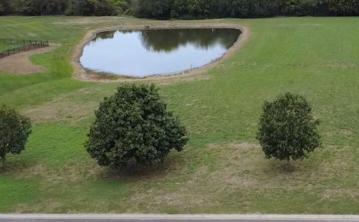 Pictures of Land property located at 27506 Oakhaven Drive, Greenwood, MO 64034 for sales - image #1