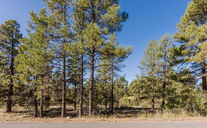 Pictures of Land property located at 79 E Golf Pl, Pagosa Springs, CO 81147 for sales - image #1