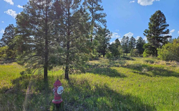 Pictures of Land property located at 1305 Trails Blvd, Pagosa Springs, CO 81147 for sales - image #1