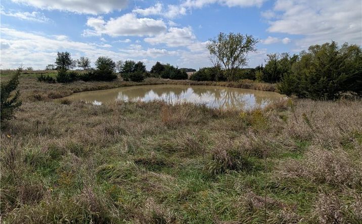 Pictures of Land, Special Purpose property located at E 280th Street, Ridgeway, MO 64481 for sales - image #1