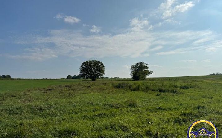 Pictures of Land property located at NE 46th ST, Topeka, KS 66617 for sales - image #1