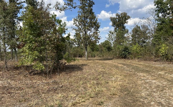 Pictures of Land property located at Hc 73 Box 4925 (Track 20), Ava, MO 65608 for sales - image #1