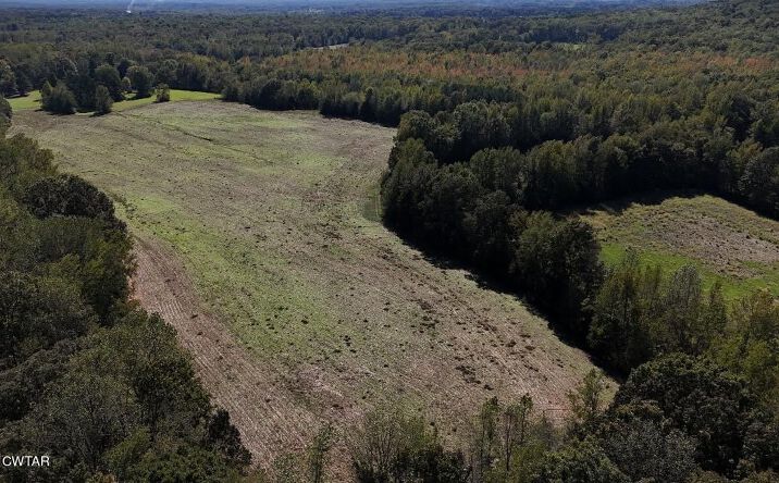 Pictures of Land property located at Gutherie Rd, Paris, TN 38242 for sales - image #1