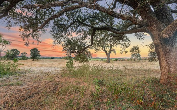 Pictures of Land, Mixed Use, Office, Retail, Self Storage property located at 2339 TX-36, Sealy, TX 77474 for sales - image #1