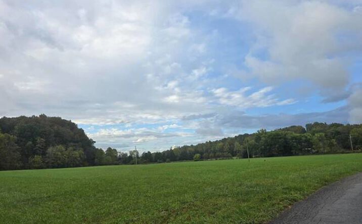 Pictures of Land property located at 0 Phelps Dunham Rd, Edmonton, KY 42129 for sales - image #1