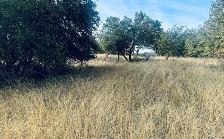 Pictures of Land property located at 194 Willie B Dr, Brownwood, TX 76801 for sales - image #1