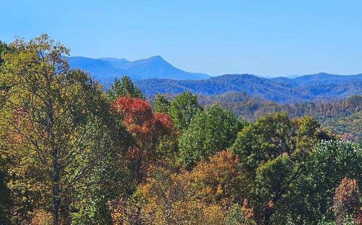 Pictures of Land property located at Lot#12 Mayito Ln, Mouth of Wilson, VA 24363 for sales - image #1