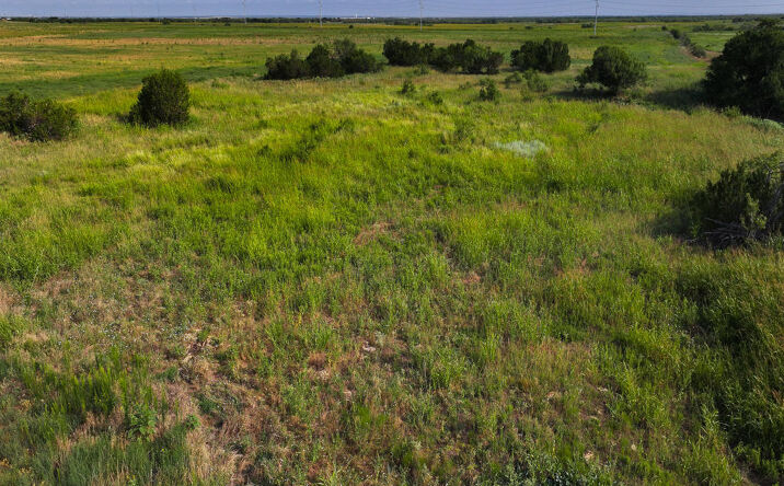 Pictures of Land, Mixed Use property located at TBD Wofford Road, Quanah, TX 79252 for sales - image #1