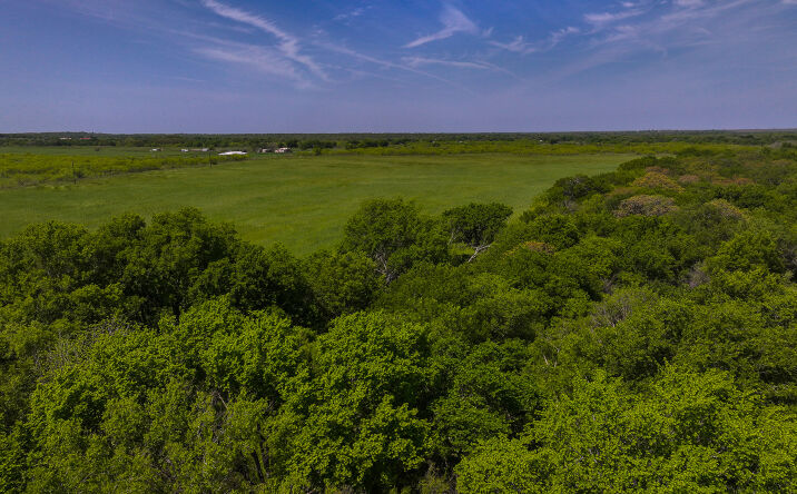 Pictures of Land property located at Tract 2 Rock Springs School Rd, Montague, TX 76251 for sales - image #1