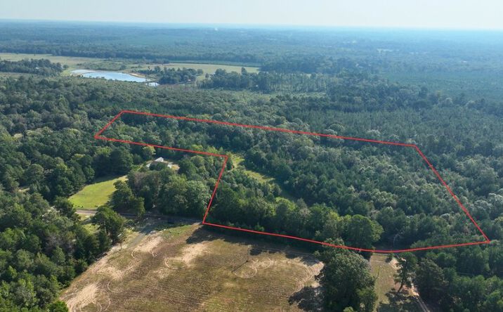 Pictures of Land property located at 1072 Co Rd 1111, Atlanta, TX 75551 for sales - image #1