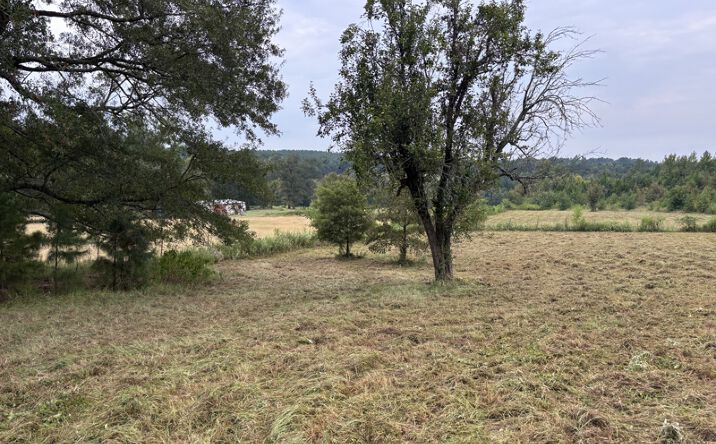 Pictures of Land property located at TBD 12.49 CR 1243, Linden, TX 75563 for sales - image #1
