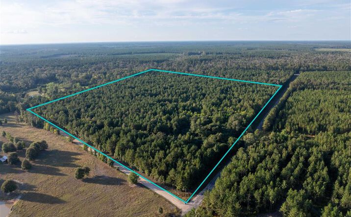 Pictures of Land property located at Burns Clark Rd, Singer, LA 70660 for sales - image #1