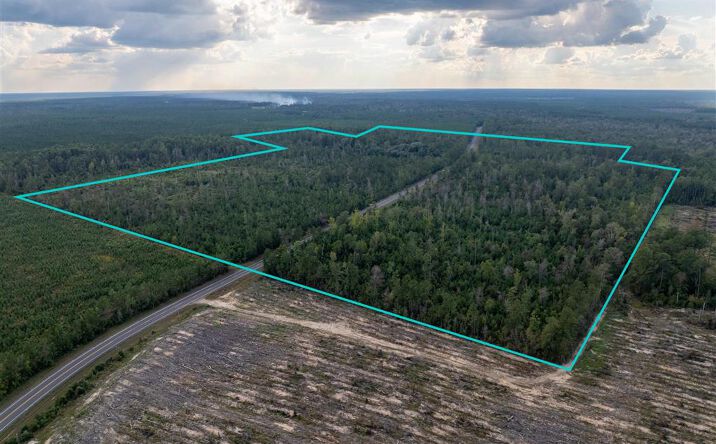 Pictures of Land property located at Hwy 109, Singer, LA 70660 for sales - image #1